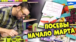 Что посеять в начале марта? 1 неделя марта / календарь дачника