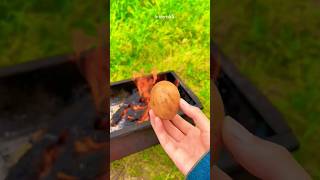 Balut eggs are super delicious p469#funy #animals #fyp