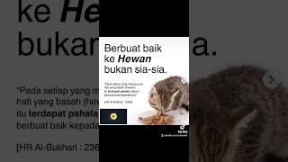 Berbuat Baik Pada Hewan Tidak Sia-Sia