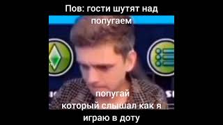 Гости шутят над попугаем он который слышал как я играю в доту 🤣