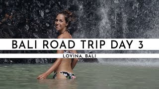 SINGSING WATERFALL – WHAT'S THE WORST THAT CAN HAPPEN? | Bali Road Trip Day 3 | TRAVEL VLOG #9