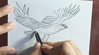 Cómo dibujar una AGUILA VOLANDO | How to draw an EAGLE