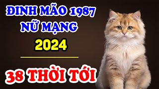 Tử Vi Tuổi Đinh Mão 1987 Nữ Mạng Năm 2024 Đến Thời Đổi Vận, TRÚNG SỐ 2 LẦN LIÊN TIẾP, Cực Giàu | TVV