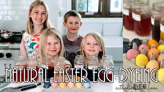 Natural Easter Egg Dyeing with Flowers, Herbs & Vegetables