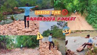 Khatarnak jungle ke andar rasta bhatak gye 😥| Dog ne ki bahar nikalne me help🐶#trending #forest #dog