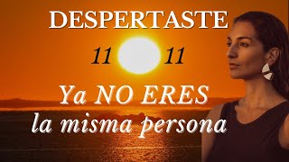 ¿Despertar ESPIRITUAL o de CONCIENCIA? | ¿En cuál te encuentras?