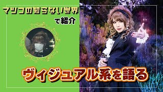 TVで紹介されたので...HIZAKI V系を語る