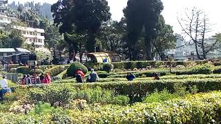 Darjeeling Batasia Loop Gorkha War Memorial