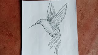 Hummingbird drawing 🦅🐦 how to draw a hummingbird. गुंजन पक्षी || humming bird painting #shorts