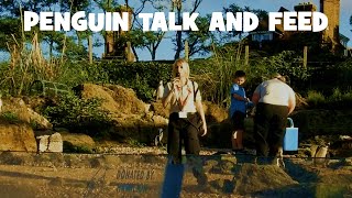 Penguin Talk & Feed - Chessington World of Adventures