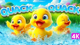 Quack, Quack Ducks Fun Song : Nursery Rhymes & Kids Fun Song | Bedtime Stories!