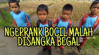 NGEPRANK BOCIL MALAH DISANGKA BEGAL???