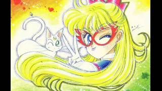 Code Name Sailor V Ch 11 Review