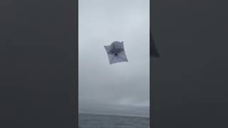 Catching big tuna on a kite setup