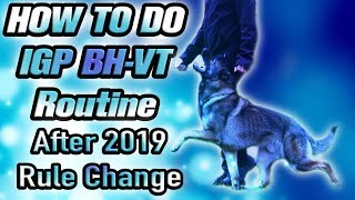 schutzhund IPO IGP BH BH-VT Exam Routine 2019 After Rule Change