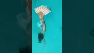 Save this as live wallpaper! ✨ mermaidtiktok tiktokwithfins mermaidtail underwatertiktok #Shorts