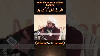 Allah Ne Insaan Ko Kaise Banaya | How Allah Made Human Beings | Maulana Tariq Jameel