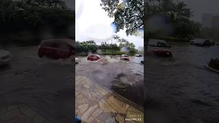 Waikiki Flood 5/18/24 #waikiki #hawaii #flood #oahu