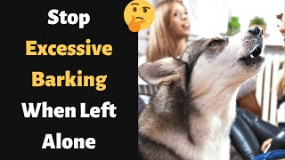 How to Stop Excessive Barking When Left Alone?