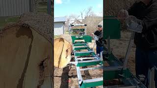 Can I load a 1500 lb. log with a hand winch?  Burr Oak log sawmilling