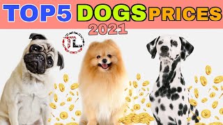 TOP 5 DOGS PRICE | part 2 In Telugu