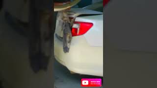 Toyota,Camry How To remove|back|but designer|#nasautoblackmechanic