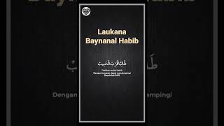 Laukana baynanal habib #sholawat #sholawatmerdu #sholawatnabi #storywa #liriklagu