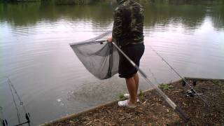 Total Carping: The Steamies Blog: Wild Weather Success