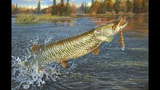 Fishing Planet. ищем маскинонгов на Сент Кура Мичиган