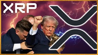 XRP, "미친듯이 올라갔다 신기루 처럼 사라진다."