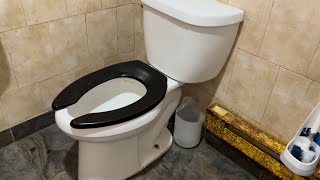 [185] Extremely Rare 2010 Glacier Bay Pressure Assist Toilet