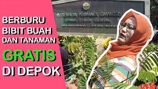 VIRAL !!! BAGI - BAGI BENIH BIBIT BUAH DAN TANAMAN GRATIS DI PERSEMAIAN PERMANEN CIMANGGIS DEPOK