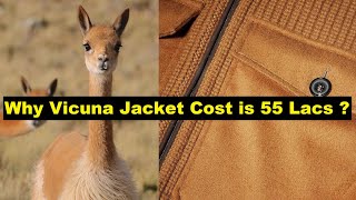 Why Jacket Made with Rarest Wool of vicuna is Cost of 55 Lacs Rupees. -ASB Planet