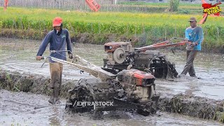 Traktor Sawah G3000 Zeva Dan G1000 Bekerja Berdampingan