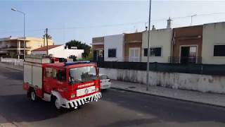 Incêndio em Olhão, Pinheiros nas traseiras do Pavilhão Municipal.