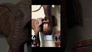 Korea museum lo Mana India gurinchi petaru #India #travel #teluguvlogs #youtubeshorts #shorts #bts