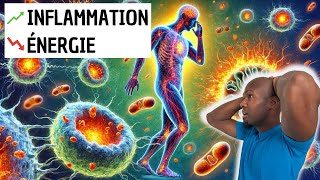 Comment l’inflammation chronique épuise votre énergie ( et comment y remédier )