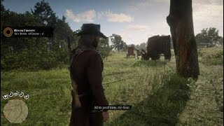 Red Dead Redemption 2 - Emerald