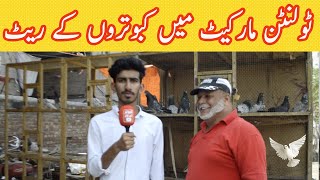 Twelnten Pigeons market Lahore - Kabootar market visit 2022 | Awais Saeed | Kabutar Tv,