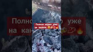 Сбор лесного шашлыка и отечественного гриба😍 стейки выросли на поляне 🔥🥰⁉️