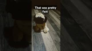 That was pretty fast ⚡️#funny #cool #foryou #fyp #viralvideo #trend