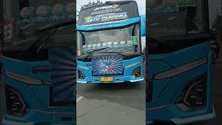 MSM Asyrof Ratu Pandora Suaranya Nyaring Banget ‼️ #basuri #basurihorn #busmania #shortvideo #viral