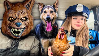 Police Surprises Puppy & Wolf With Car Ride Chase by Ducky life