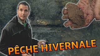 Pêche au Coup Hiver en Rivière - Prospection du poste et Amorces -Secrets de Champion Nico (vidéo 1)