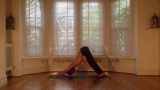 Living Yoga - 20 Min Flow (D)