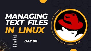 Filters in Linux | Telugu | Day 08