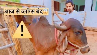 आज से व्लॉग्स बंद😱⚠️#baawalechorevlogs #cowvlog #dailyvlog #cowlover #lastvlog #gauseva #cowvideos