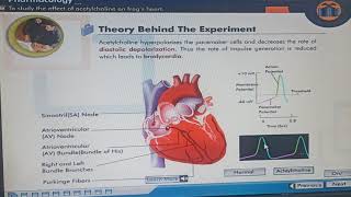 To study the effect of acetylcholine on frog's heart. Experimental Pharmacology