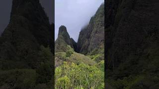 Maui Iao Valley State Monument is Breathtaking! Kuka‘emoku (a.k.a. Iao Needle) is Wonderful! #shorts