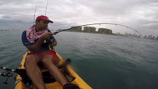 Caught this massive King Mackeral in a storm